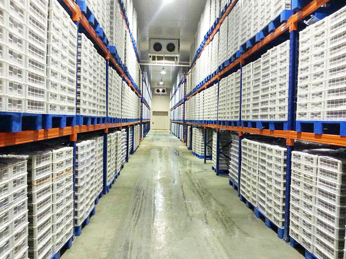 冷庫(kù)專用貨架與普通貨架對(duì)比有哪些區(qū)別？