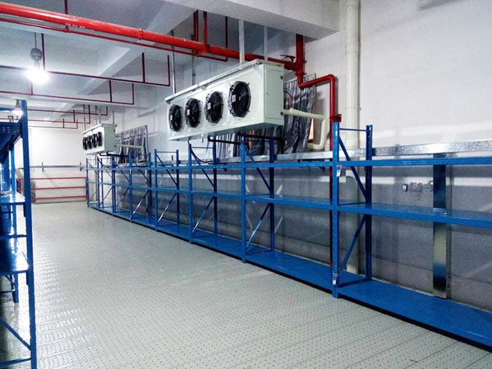 冷庫(kù)專用貨架